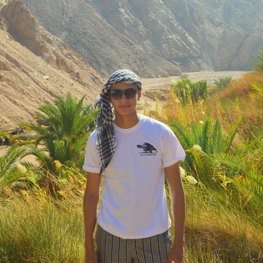 Star Of Giza Pyramids Hotel 3*